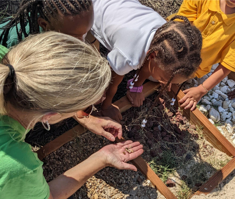 Students inspecting seeds