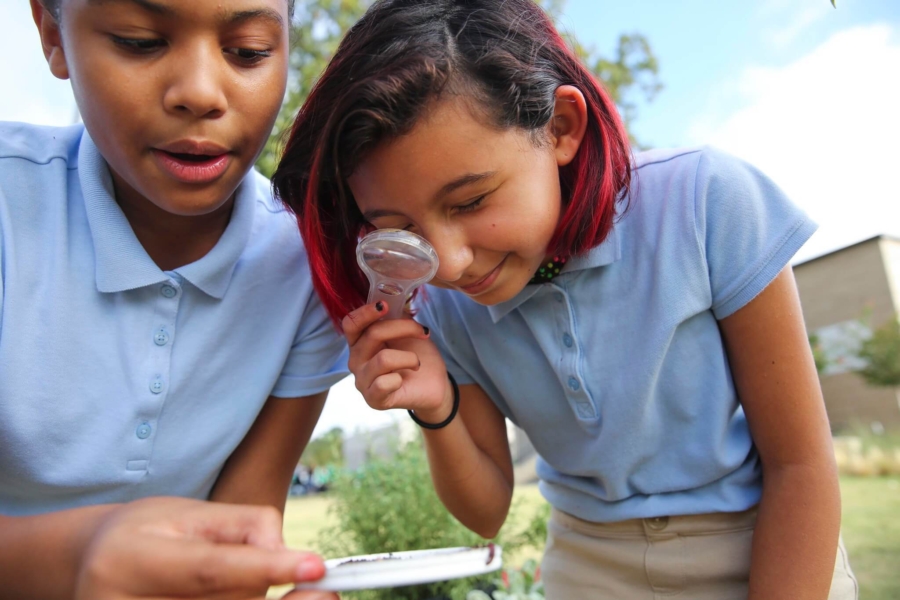 Students inspecting worm with magnifying glass