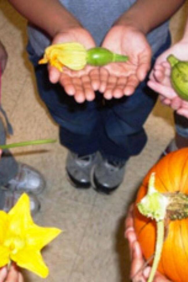 Students holding flowers and vegetables