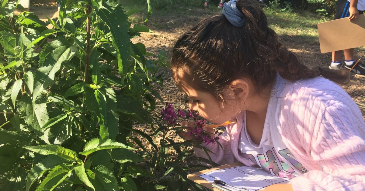 This Earth Day, Let Curiosity Take Root | Out Teach