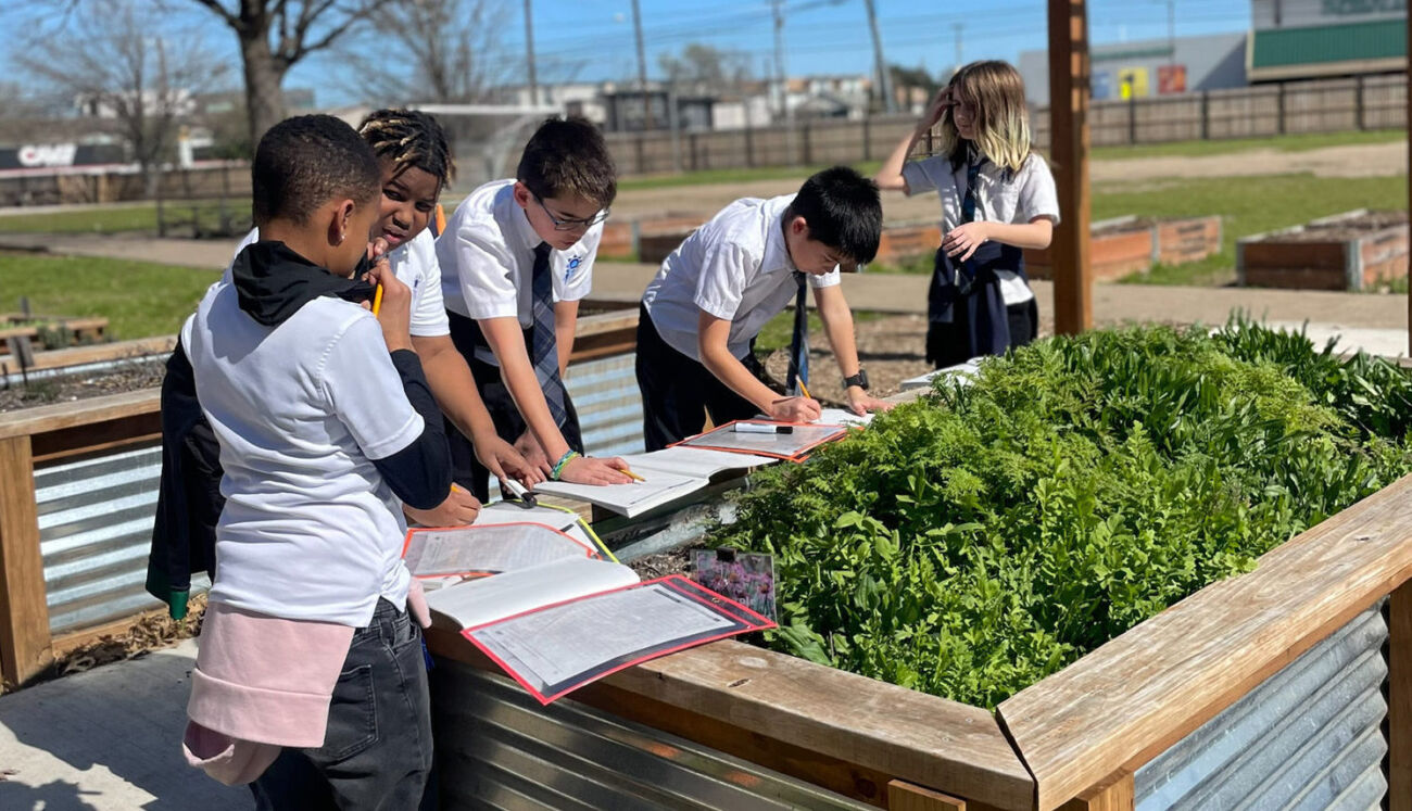 Student inspecting garden box