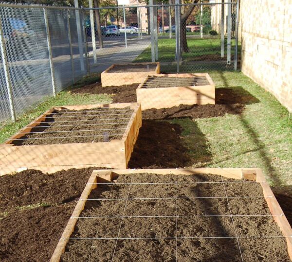 Outdoor garden in progress