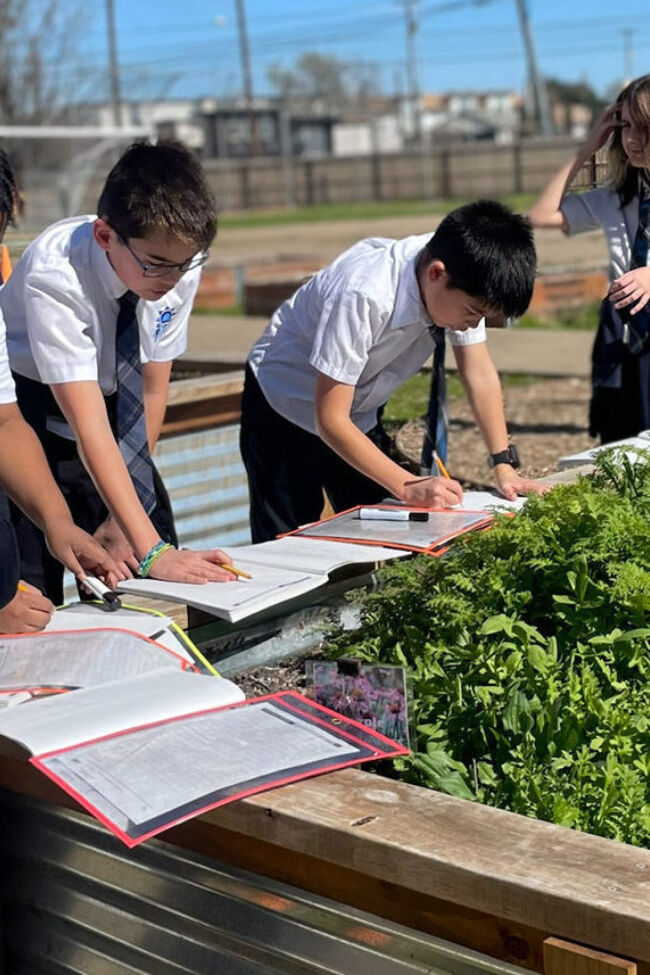 Student inspecting garden box