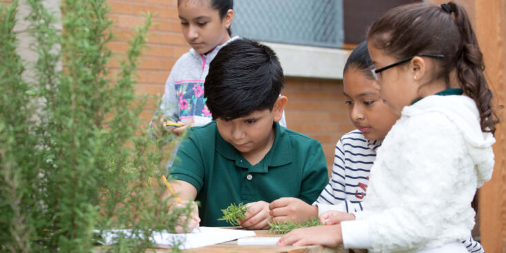 Students writing in notebook outdoors