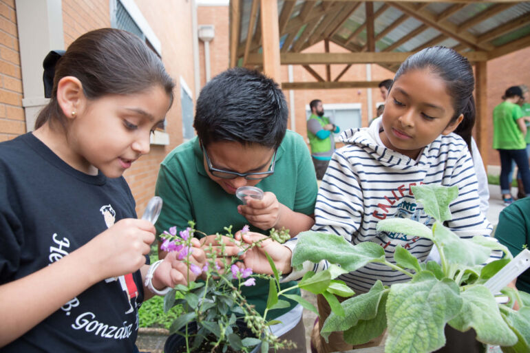 Students inspecting flowers