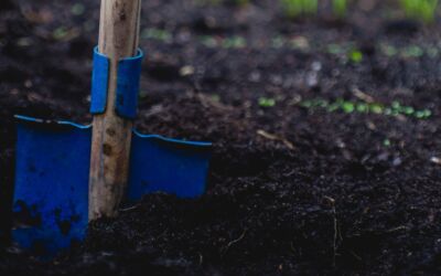 Shovel in dirt