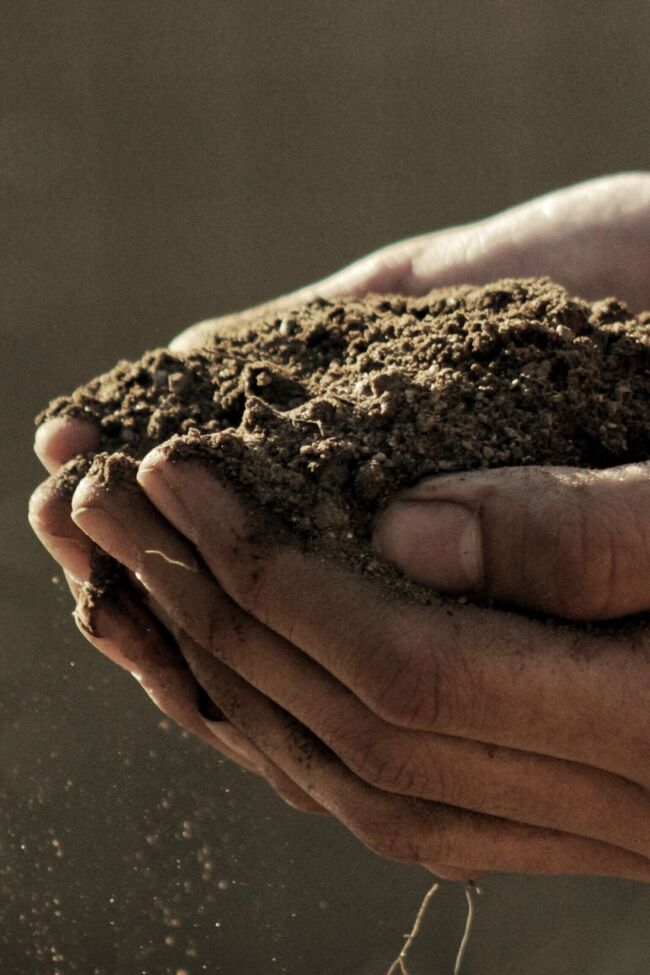 Hands holding dirt