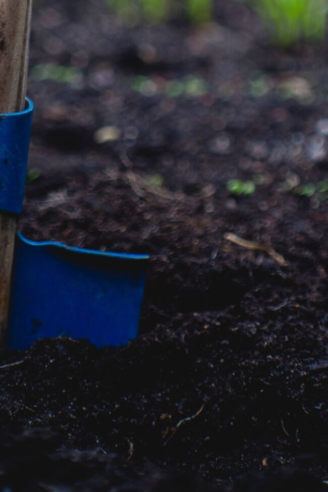 Shovel in dirt