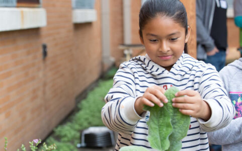 Student holding leaf