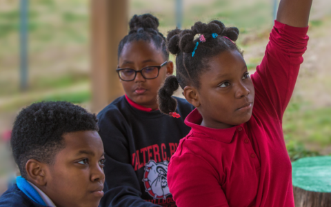 Student raising hand in outdoor learning late