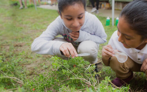 Students inspecting leaves in garden