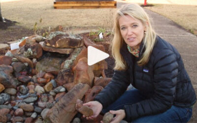 Video clip of Wendy Kelly in outdoor lab