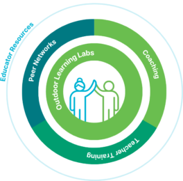 Program graphic