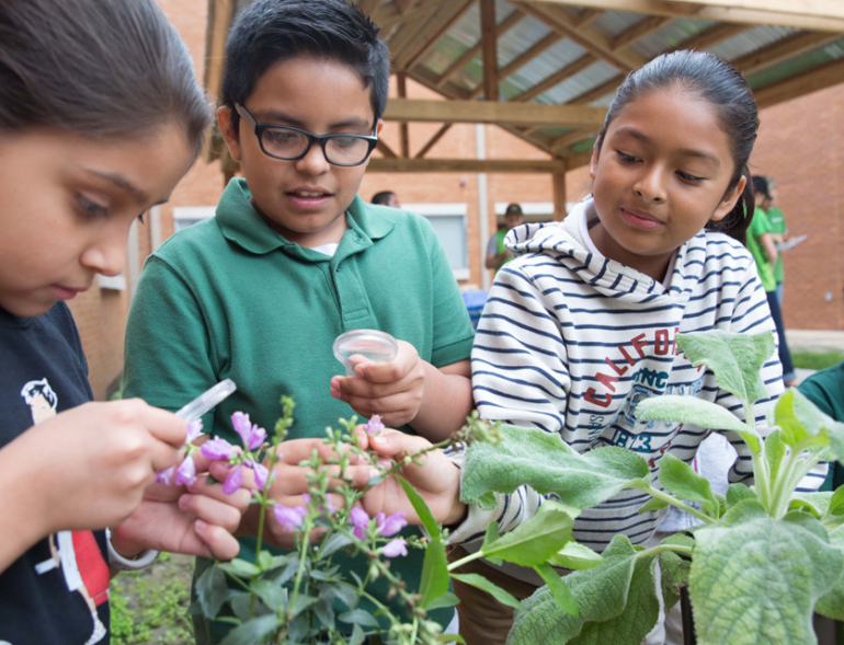 Students inspecting flowers