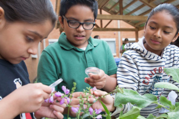 Children outdoors