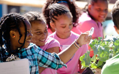 Girls inspecting leaves