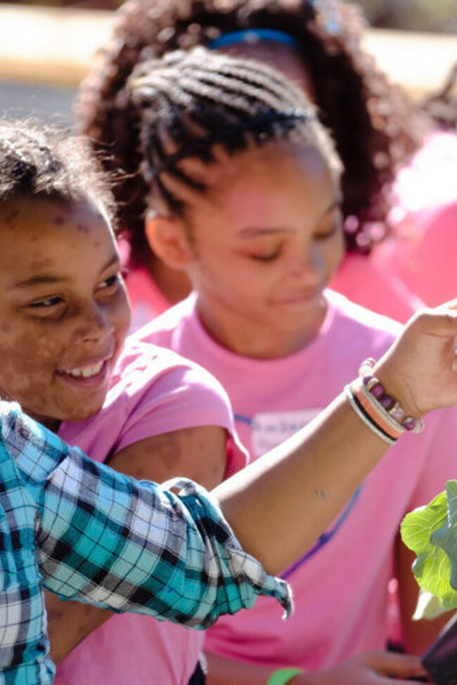 Girls inspecting leaves