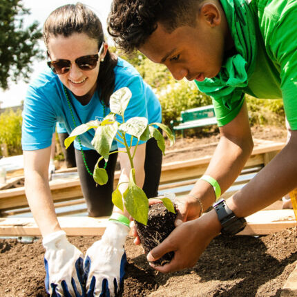 Hilton Event - Volunteers planting in garden