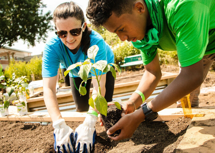 Hilton Event - Volunteers planting in garden