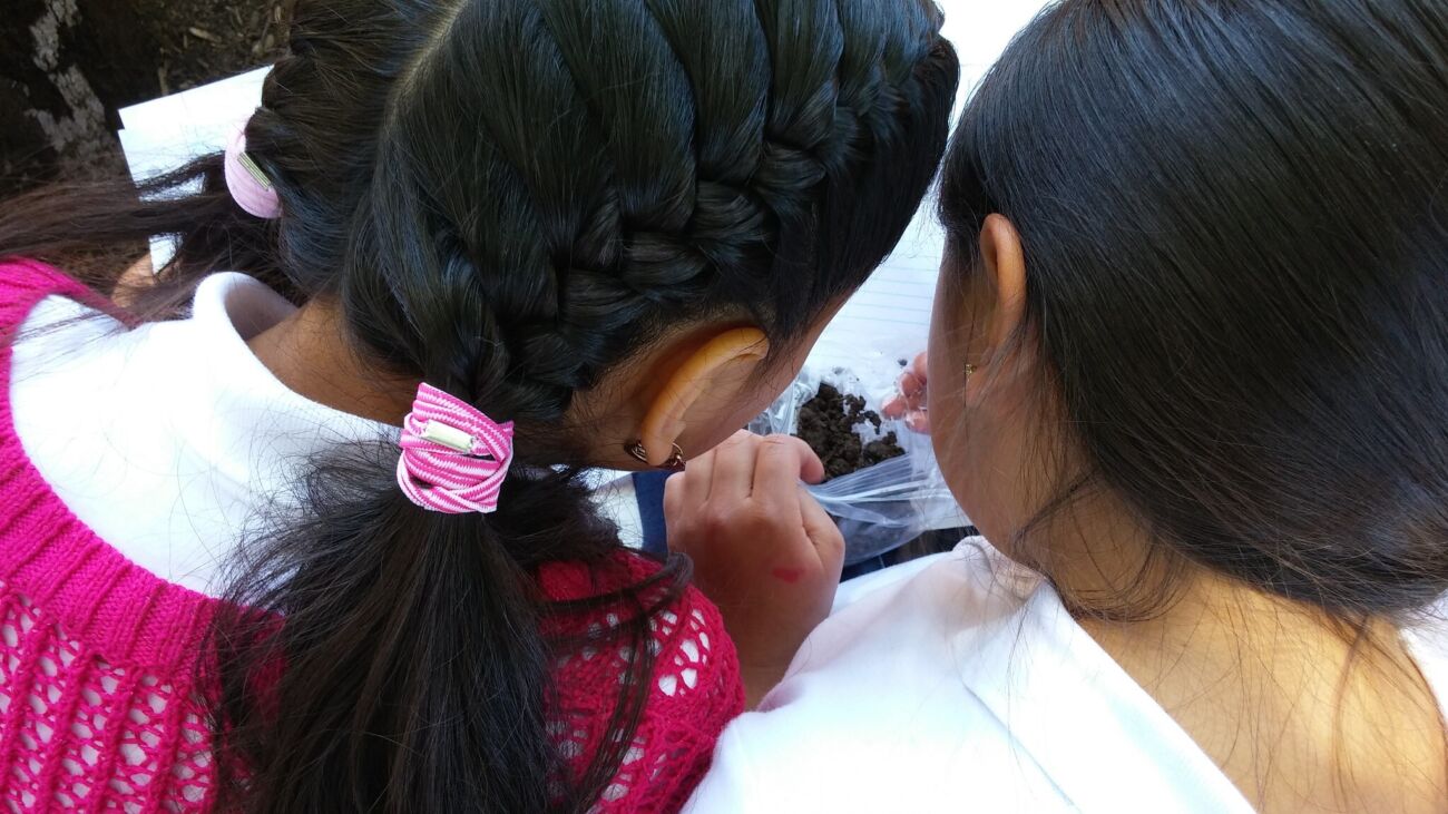 26093814704 a44251a9dd k