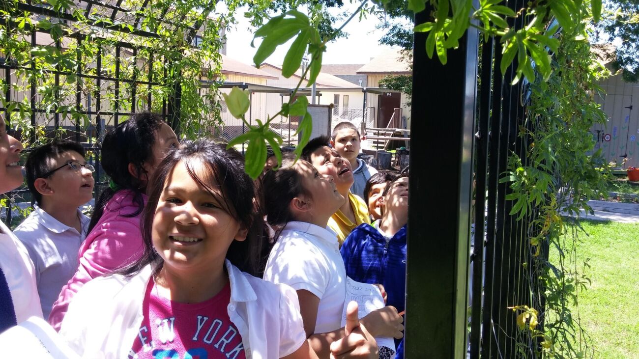 26699600635 c5f5b8bc01 k