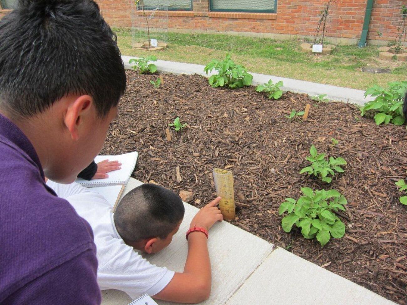 8673935506 3a2afcd927 b