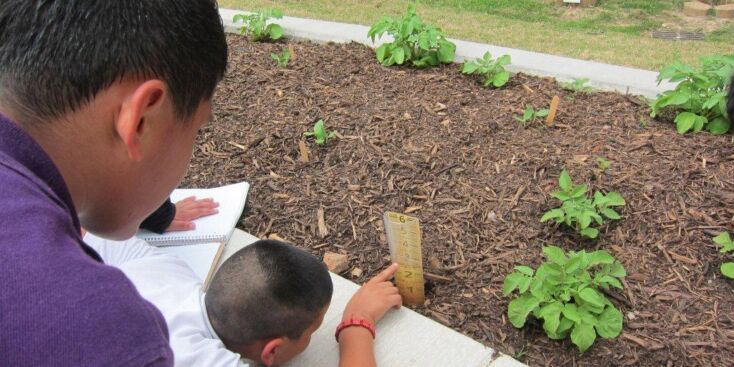 8673935506 3a2afcd927 b